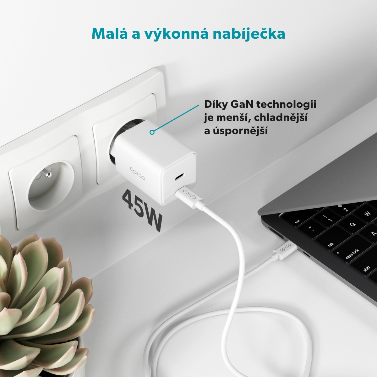 bílá
