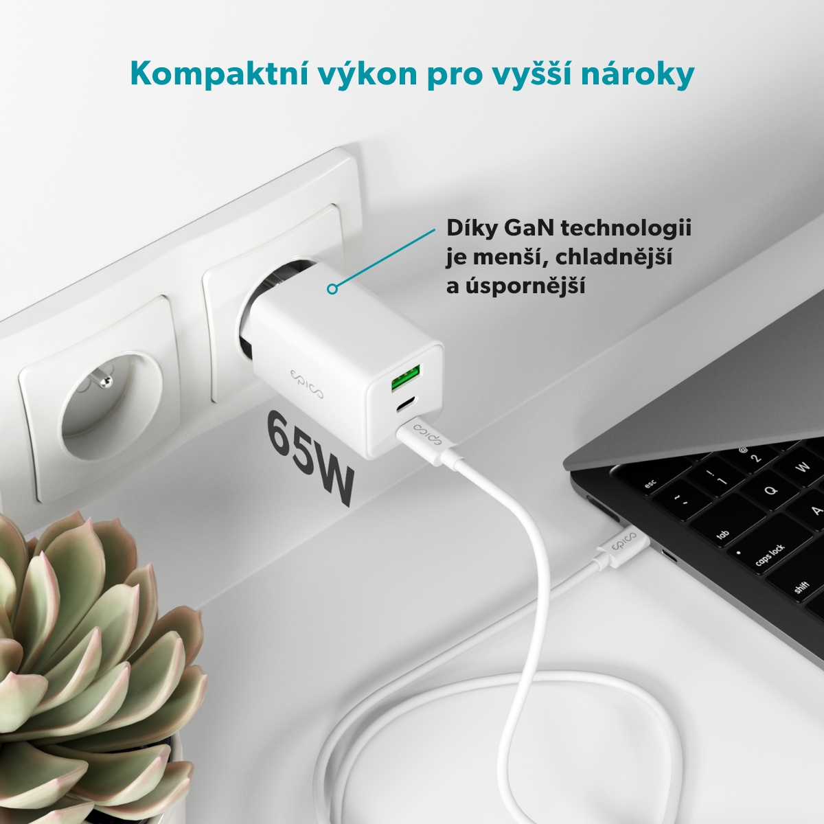 bílá