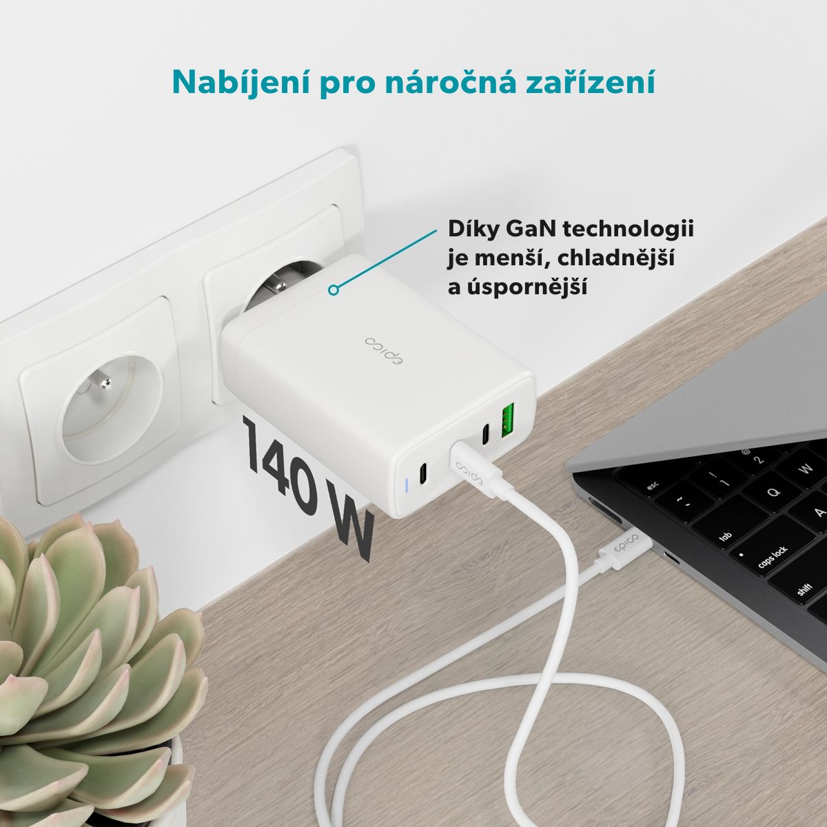 Bílá